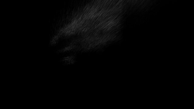 Abstract dark composition with wispy light smoke textures and atmospheric mood.