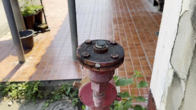 Fire pump hose, roadside.