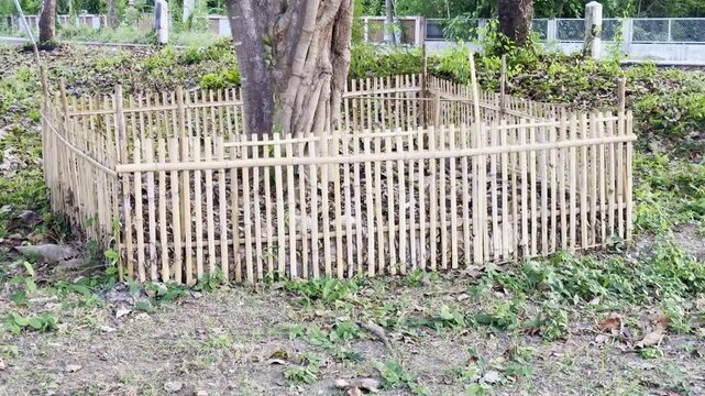Bamboo fence, for partitioning an area.