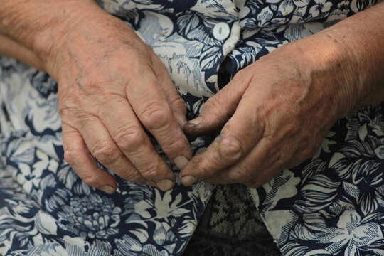 The dirty hands of an old grandmother who is sorting freshly picked dill