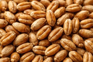 Obraz premium Close-up detailed view of wheat grain texture surface