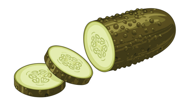 Whole and sliced pickled cucumber showing the green skin and internal seeds on a white background for food products and cooking themes.