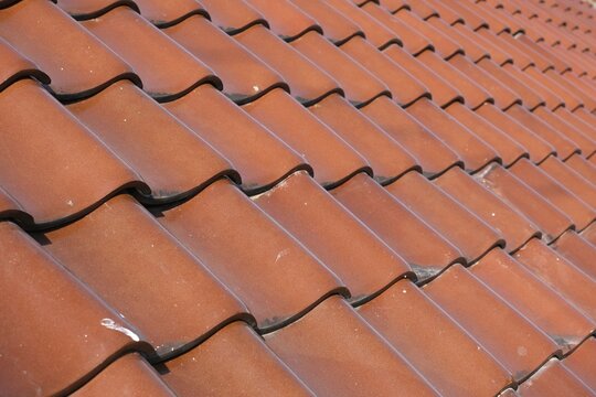 Warm terracotta rooftop tiles form a wavy pattern. Sunlight glints off each curved surface gently. 