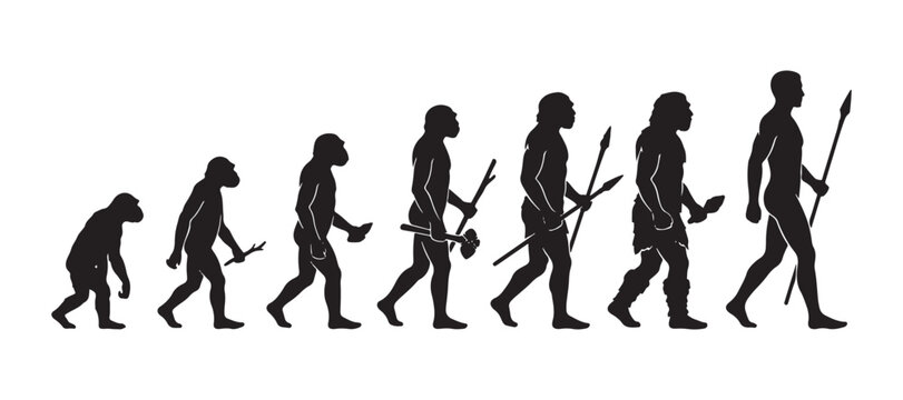 seven stages of human evolution silhouette