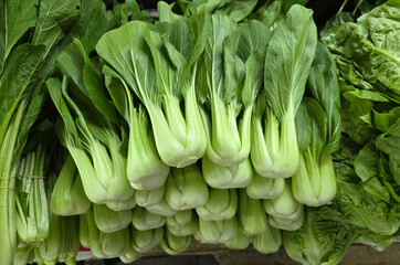 Fresh pak choi or bok choy vegetables at a Asia farmer's market