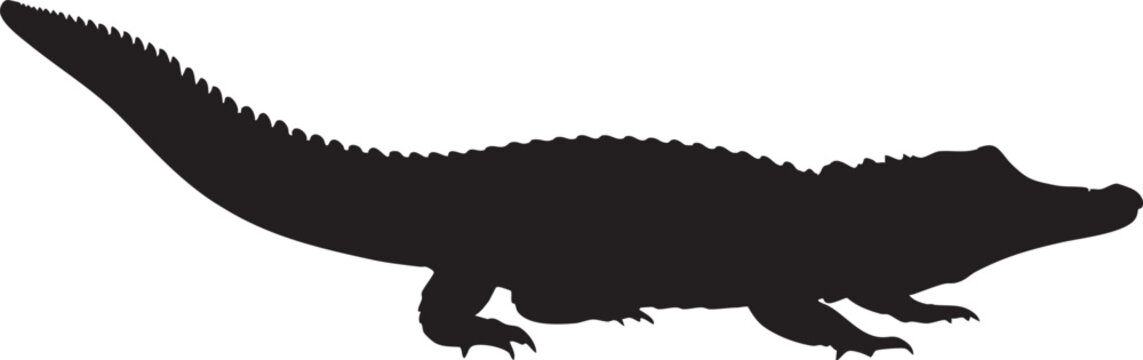 Silhouette of an alligator swimming gracefully through calm waters