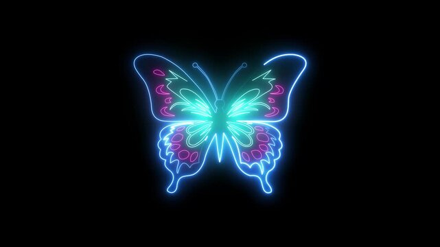 Neon butterfly glowing animation, vibrant multi-color light effect on black background, for modern digital, and motion