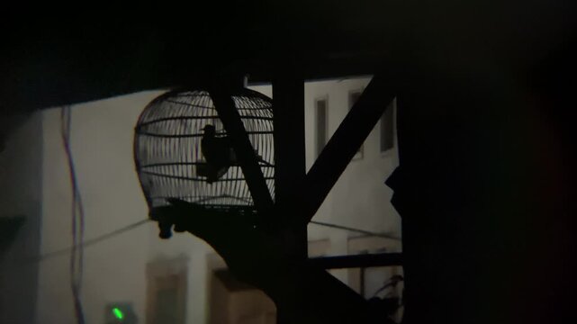 silhouette of a puter bird
