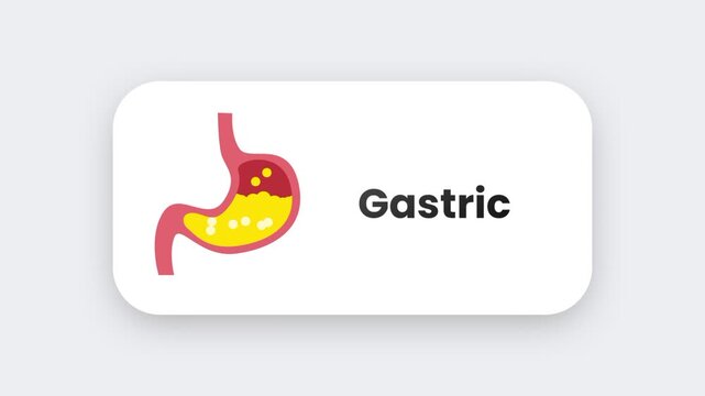 An orange and pink stomach anatomy icon showing the digestive organ shape used in medical health or biology educational app badges