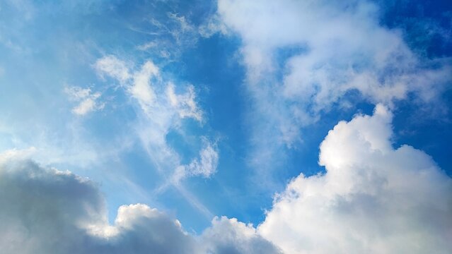 A wide view of a clear blue sky filled with various cloud formations, from fluffy white cumulus to wispy cirrus and dark gray shadows.