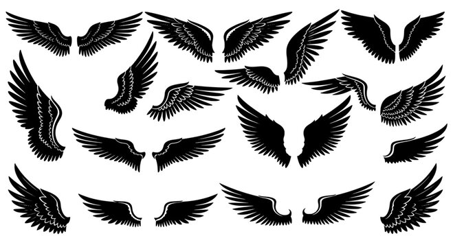 Eagle wings tattoo style silhouette pattern with multiple flying bird feathers and dynamic spread for vintage emblem and signage designs