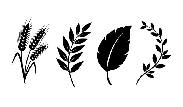 Minimal botanical silhouette icons wheat sprigs leaves plant leaf vector set isolated on white