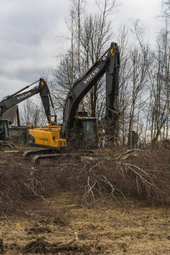 Lviv Ukraine 03.18.26 Industrial equipment clearing forest area for development