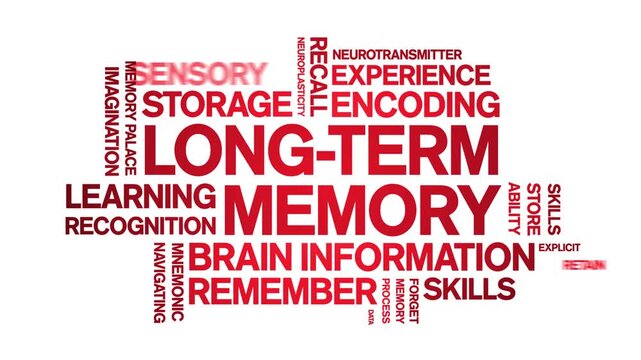 Long-Term Memory animated word cloud-text design animation tag kinetic typography seamless loop.