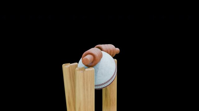 High-Quality White Leather Cricket Ball Animation Video for Sports Campaigns