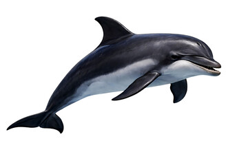 Fototapeta premium Realistic Jumping Dolphin Isolated on Transparent Background – Marine Mammal Ocean Wildlife PNG Cutout