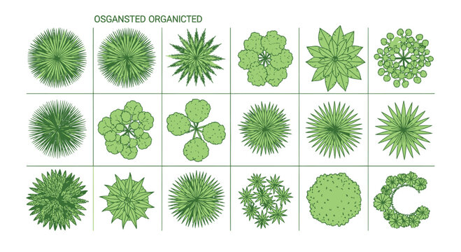 Top down view set of various trees and shrubs for landscape architecture and site planning in green flat vector style