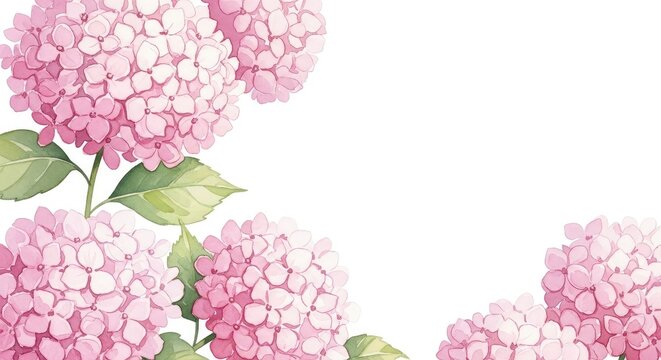 Soft watercolor pink hydrangea flowers on white background mother's day background wallpaper poster banner download 2026 2027