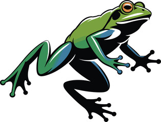 Fototapeta premium frog on a white background