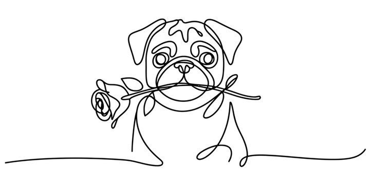 A single continuous line drawing of a cute pug dog holding a beautiful rose in its small mouth Vector, illustration