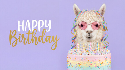 Fototapeta premium Funny white alpaca wearing pink sunglasses behind a pastel birthday cake. Happy birthday greeting card with colorful ribbons and lit candles on a purple background