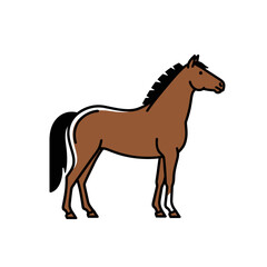 Fototapeta premium Brown Horse Standing Profile View