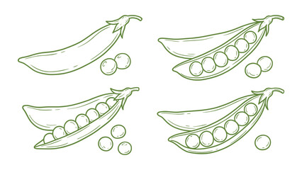 Hand drawn sugar snap pea pods set green peas vegetable line art © welyalfian