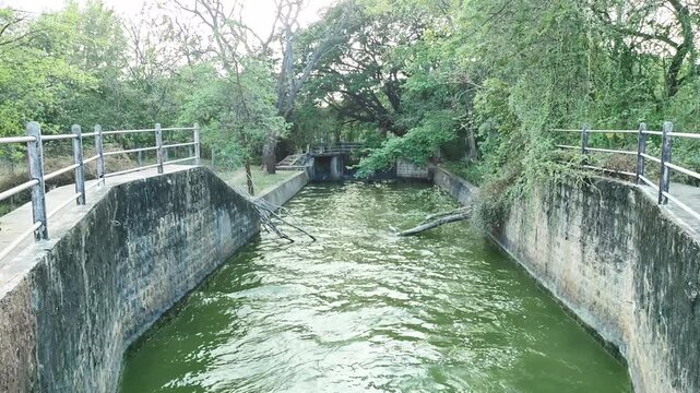 Static 4K shot of Meenkara Dam canal, Palakkad. Murky green water flows past rusted railings and trees as nature reclaims this Kerala irrigation site. A quiet, eerie rural transition.