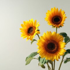 Obraz premium Vibrant sunflowers in natural arrangement for floral decor