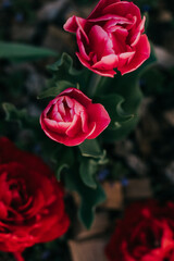 Fototapety na wymiar - Fototapeta24.pl