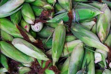 Fototapeta premium Pile of corns, top view.