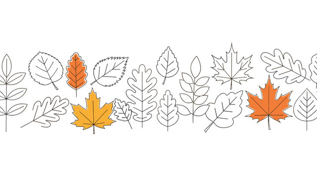 Horizontal border of outline autumn leaves with few colored orange and yellow leaves on white background for fall season themes.