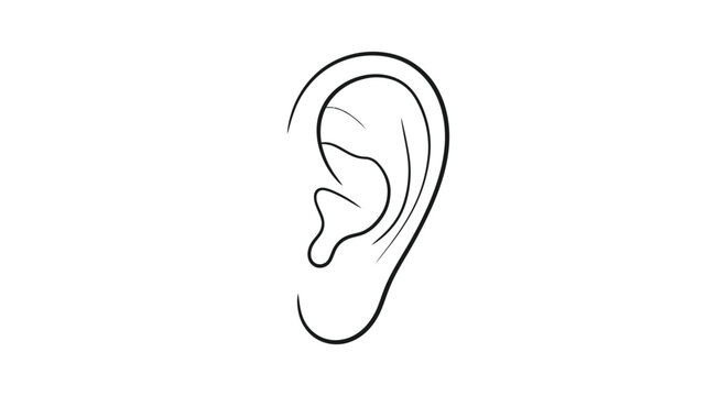 Minimalist line drawing of a human ear on a white background
