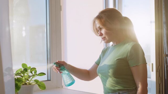 Lady waters indoor decorative plant with spray bottle while standing near window in bright sunlight, showing care for green leaves, indoor gardening