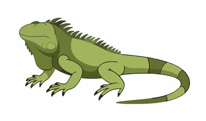 Fototapeta premium Minimal iguana vector flat illustration reptile animal design
