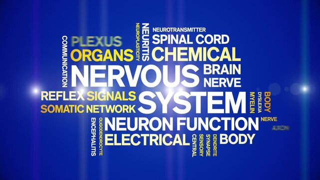 Nervous System animated word cloud-text design animation tag kinetic typography seamless loop.