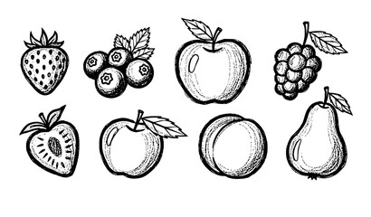 Chalk style fruit doodle collection strawberry apple peach berry sketch vector isolated on white © Sifat