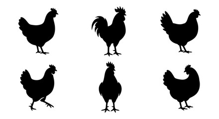 Black chicken silhouette collection, set of 6 poultry vector icons, farm bird rooster and hen silhouettes isolated on white background © Sujon
