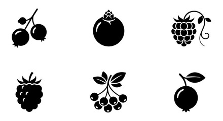 Minimalist berry icon set, black silhouette fruit vector elements, collection of 6 organic forest berries for food packaging and menu design © Sujon