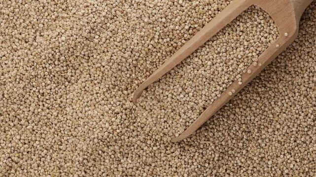  amaranth seeds and wooden spoon food zoom