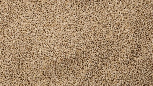amaranth seeds food background top view