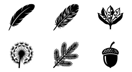 Black nature icons set with feathers and leaves, 6 forest element vector silhouettes, botanical acorn and dandelion symbols for organic branding © Moniya