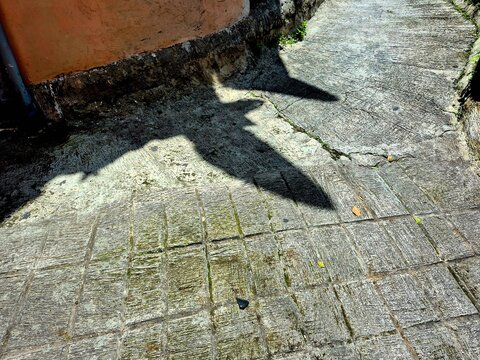 Old concrete alleyway texture with strong geometric shadows