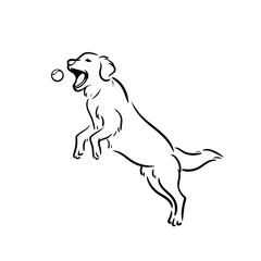 Fototapeta premium Golden Retriever Jumping and Catching Ball Dog Line Art Vector