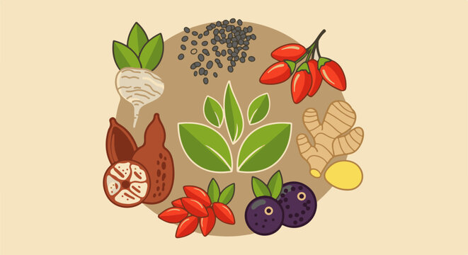 Illustration of various healthy food ingredients arranged circularly