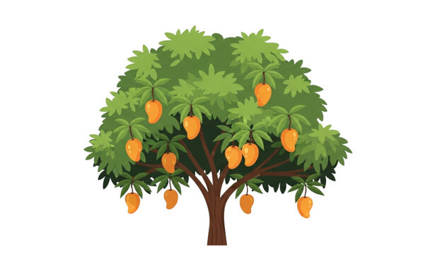 Mango tree vector illustration with fruits flat design isolated on white
