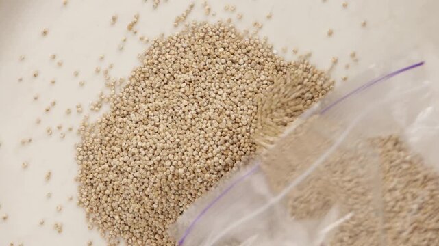 amaranth seeds spill out of the bag