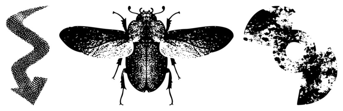 Black and white vector beetle with speckled texture, halftone, abstract swirls, isolated graphic design elements, glyph style insect art.