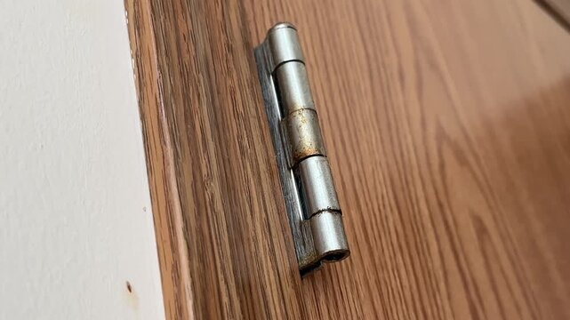 Door hinge close up showing metal hardware detail and residential interior door mechanism