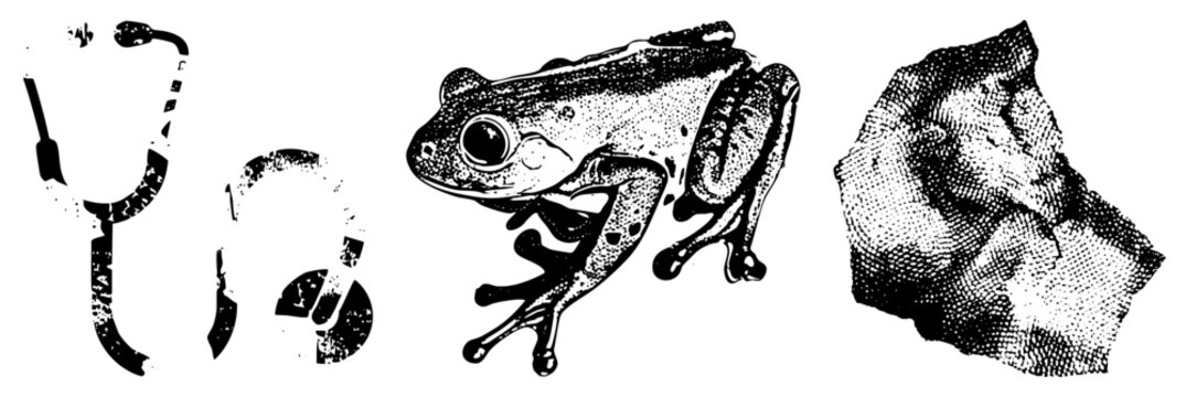 Classic stethoscope with halftone texture, tree frog illustration, rock surface, all in vector art, isolated elements for design use.